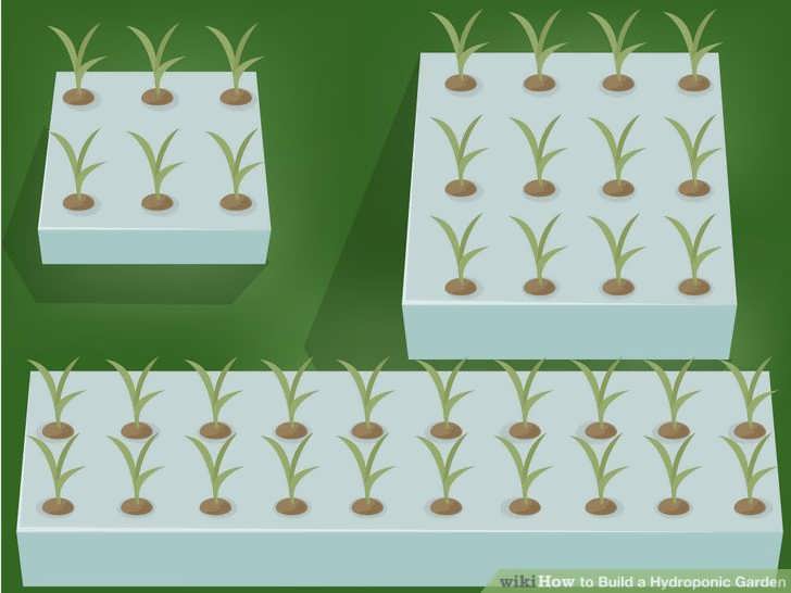 کشت هیدروپونیک