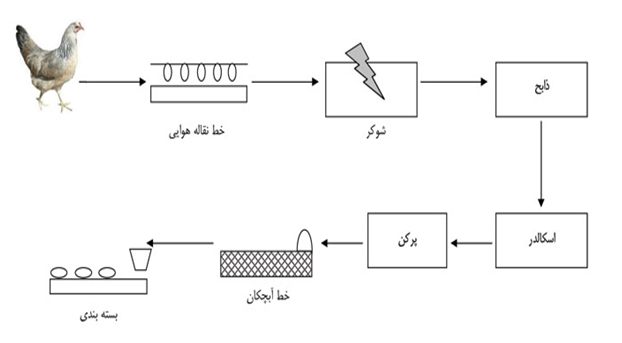 خط تولید کشتارگاه صنعتی