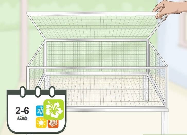 طرح توجیهی پرورش بلدرچین 98