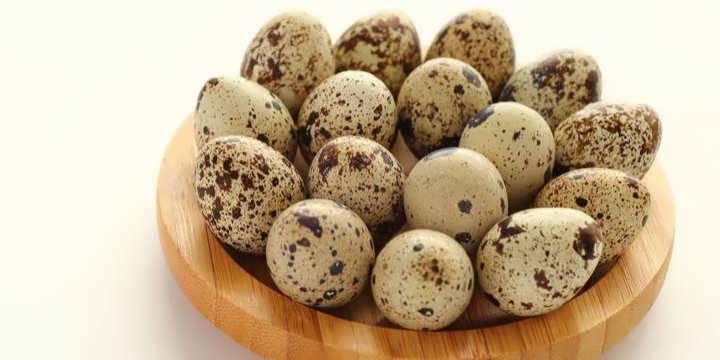 تخم بلدرچین