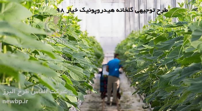 طرح توجیهی گلخانه هیدروپونیک خیار
