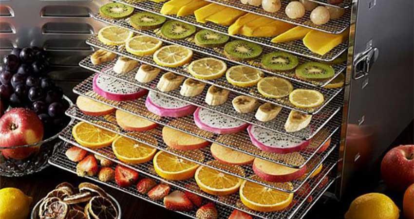 دستگاه تولید میوه خشک