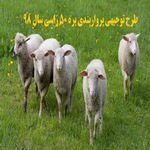  طرح توجیهی پرواربندی بره 50راسی doc , pdf