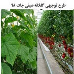 طرح توجیهی گلخانه هیدروپونیک صیفی جات doc+pdf