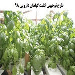 طرح توجیهی کشت گیاهان دارویی word+ pdf ( آپدیت سال 98 )