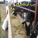 مدیریت تغذیه و جیره نویسی گوساله پرواری - معرفی بهترین نژاد گاو گوشتی