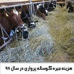 هزینه خوراک گوساله پرواری در سال 98 + هزینه تغذیه گاو گوشتی سمینتال
