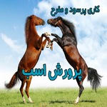 طرح توجیهی پرورش اسب doc نگارش 1402 | مساحت مزرعه پرورش اسب 