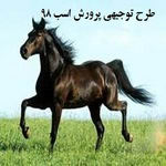 دانلود طرح توجیهی پرورش اسب pdf + doc سال 98 