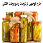 طرح توجیهی تولید ترشی و خیارشور خانگی | مشاغل خانگی تولید خیارشور نگارش سال 98