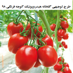 طرح توجیهی گلخانه هیدروپونیک گوجه‌فرنگی 98