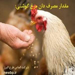 میزان خوراک مرغ گوشتی در یک دوره | مقدار مصرف دان مرغ گوشتی در روز