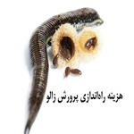 هزینه راه‌اندازی پرورش زالو - درآمد پرورش زالو چقدر است؟