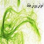 آموزش پرورش جلبک | آشنایی با پرورش جلبک در گلخانه و مزایای جلبک