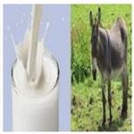 دوره حضوری پرورش الاغ شیری | آموزش پرورش الاغ شیری