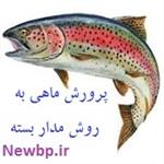 طرح توجیهی پرورش ماهی در سیستم مدار بسته 98 | هزینه احداث پرورش ماهی مدار بسته