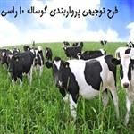  دانلود طرح توجیهی پرواربندی گوساله 10 راسی |طرح توجیهی گاو گوشتی 10 راسی 98 