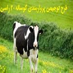 طرح توجیهی پرواربندی گوساله 20 راسی 98 | طرح توجیهی گاو گوشتی 20 راسی 98