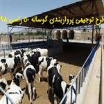 طرح توجیهی پرواربندی گوساله 50 راسی 98 | هزینه ساخت گاوداری 50 راسی
