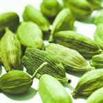 کاشت هل سبز در ایران | درامد کاشت هل