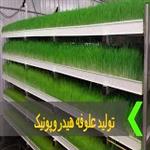 کشت علوفه هیدروپونیک |بررسی معایب علوفه هیدروپونیک