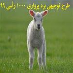 طرح توجیهی بره پرواری 1000 رأسی 99