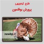 طرح توجیهی پرورش بوقلمون 99 | هزینه پرورش بوقلمون سال 99