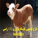طرح توجیهی گاوداری 100 راسی سال 99