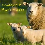  طرح توجیهی بره پرواری 100 رأسی 99 | پرواربندی بره pdf سال 99
