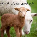 طرح توجیهی پرورش دام سبک | پرورش دام سبک صنعتی