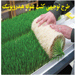 طرح توجیهی کشت علوفه هیدروپونیک 99 | علوفه هیدروپونیک pdf