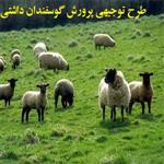 طرح توجیهی پرورش گوسفندان داشتی pdf سال 99 ( 100 راسی)