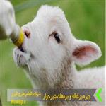 برنامه غذایی جدول جیره بزغاله و بره های شیرخوار 