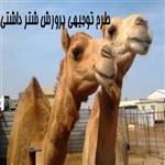 طرح توجیهی پرورش شتر داشتی | سود پرورش شتر |  پرورش شتر pdf