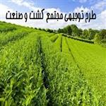 طرح توجیهی مجتمع کشت و صنعت | طرح های توجیهی مجتمع های کشت و صنعت ایران