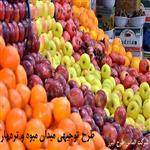 طرح توجیهی میدان میوه و تره بار | احداث میدان میوه و تره بار به همراه سردخانه