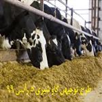 طرح توجیهی گاو شیری 5 رأسی | محاسبه سود گاو شیری در سال 99