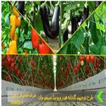 طرح توجیهی احداث گلخانه صیفی جات pdf + doc  سال 1400