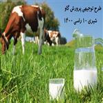طرح توجیهی پرورش گاو شیری 10 راسی | هزینه احداث گاوداری 10 راسی در سال 1400