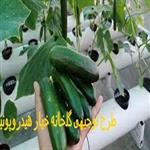 طرح توجیهی گلخانه خیار  3000 متری | طرح توجیهی  خیار هیدروپونیک گلخانه ای pdf +doc  سال 1400