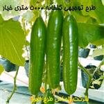 طرح توجیهی گلخانه 5000 متری |  هزینه ساخت گلخانه 5000 متری هیدروپونیک خیار نگارش سال 1400