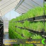 طرح توجیهی کشت علوفه هیدروپونیک 1401,بازدهی علوفه هیدروپونیک در سال 1401