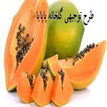 طرح توجیهی گلخانه پاپایا | گلخانه پاپایا در ایران