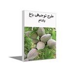 طرح توجیهی درخت بادام سال 1400 pdf + word | احداث باغ بادام