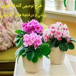 طرح توجیهی گلخانه گلهای زینتی و درختچه های آپارتمانی (آپدیت اسفند 1400)