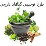 طرح توجیهی کشت گیاهان دارویی در گلخانه | طرح گیاهان دارویی وزارت جهاد کشاورزی