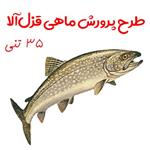 طرح توجیهی پرورش ماهی سردابی قزل آلا به ظرفیت 35 تن سال 1401