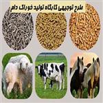 طرح توجیهی کارگاه کوچک تولید خوراک دام و طیور  (نگارش تابستان 1401)