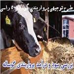 طرح توجیهی پرواربندی گوساله 50 راسی pdf+word نگارش سال 1404