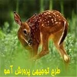 طرح توجیهی پرورش آهو و جبیر pdf +doc نگارش سال 1401